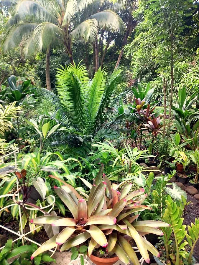 Casa de hóspedes Haere Mai I Te Fare Hotel Teavaro