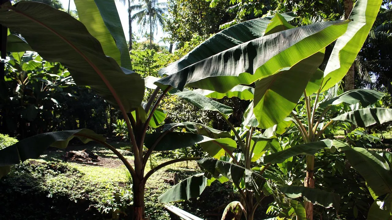 Haere Mai I Te Fare Hotel Teavaro Casa de hóspedes